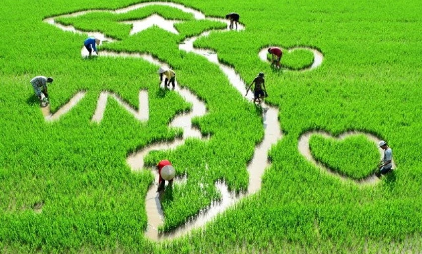 38 BÀI TỨ TUYỆT ĐỘC VẬN