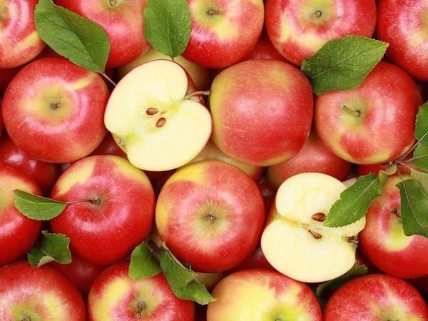 Điều gì xảy ra với cơ thế nếu bạn ăn táo thường xuyên?