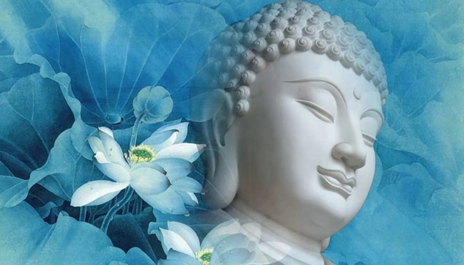 Ai thấu đạt Tứ Diệu Đế, hay Bát Chánh Đạo có quả tức thời - Thánh Dự Lưu