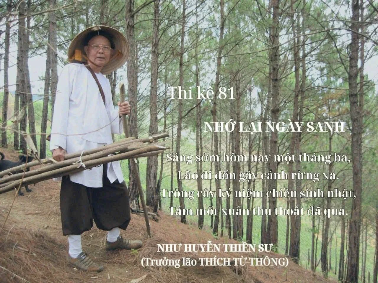 Điếu thi kính tưởng Như Huyễn Thiền Sư - Cố TLHT THích Từ Thông-25