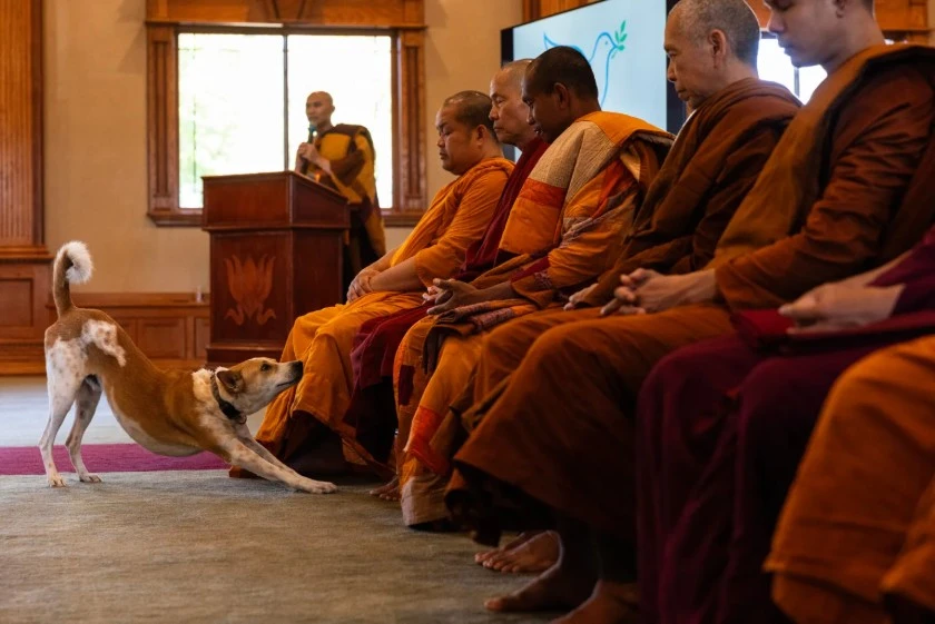 Chư Tăng khởi hành “Hành trình vì Hòa bình” từ Texas đến Washington, D.C.