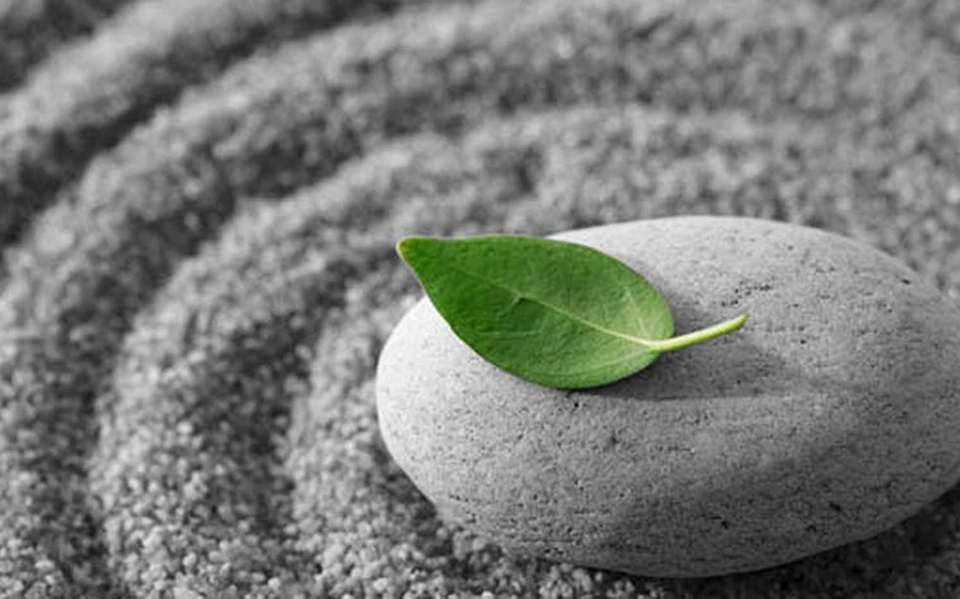 Sự thật phũ phàng