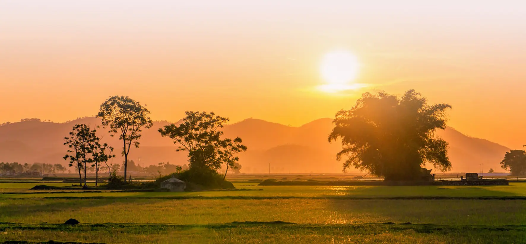 Chùm thơ KÝ ỨC CHIỀU