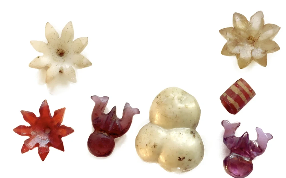 Ấn Độ trưng bày di vật gắn với xá lị Đức Phật sau 127 năm lưu lạc-10