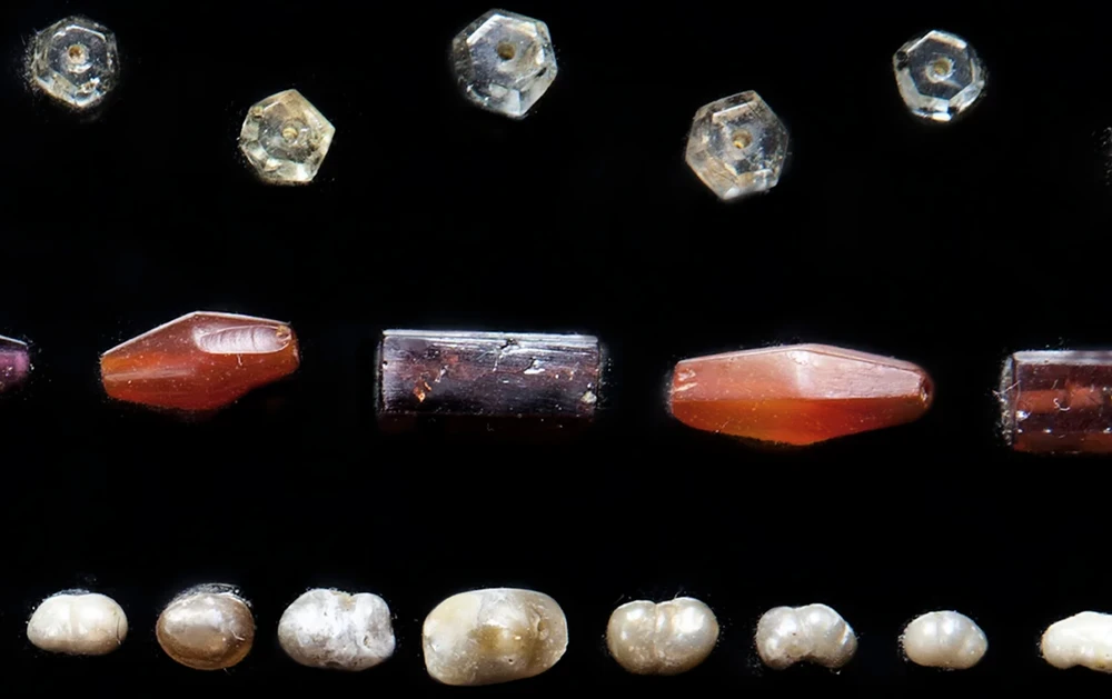 Ấn Độ trưng bày di vật gắn với xá lị Đức Phật sau 127 năm lưu lạc-15