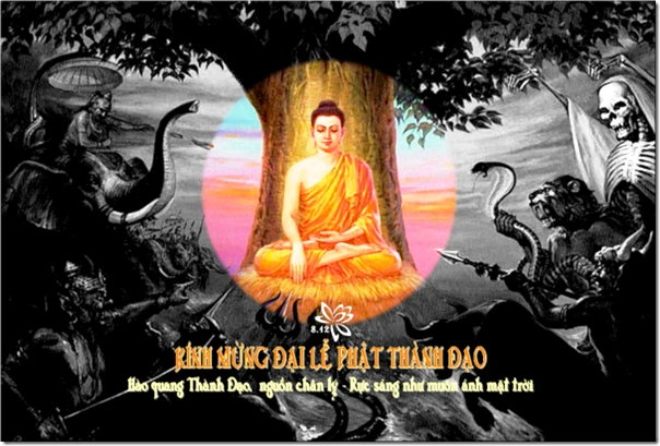 Hoa Chân Lý Nở Bốn Bề Ngát Hương…