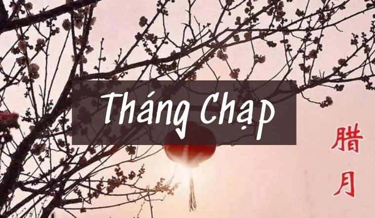 NGẪU HỨNG THÁNG CHẠP ẤT TỴ - 2026