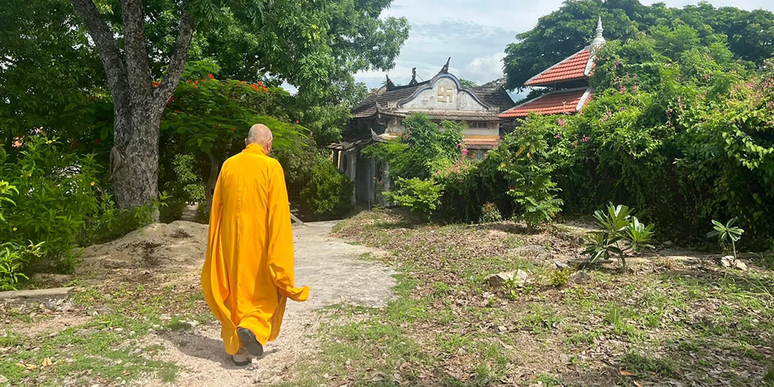 Đóa hoa vàng xuôi con nước