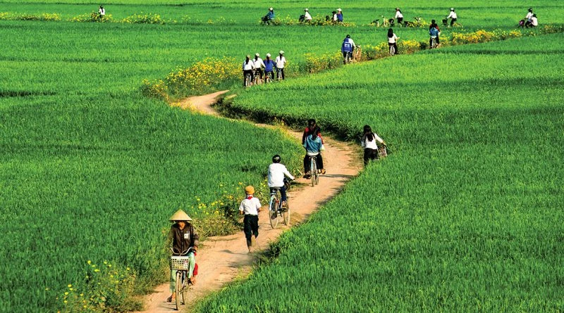 CẢM NHẬN VỀ BÀI THƠ  "NHỚ NGÀY XƯA" CỦA NGUYỄN QUỲNH