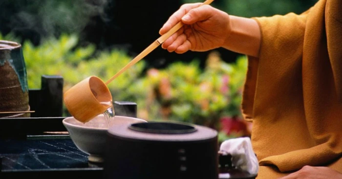 ĐỜI NHƯ VỊ TRÀ