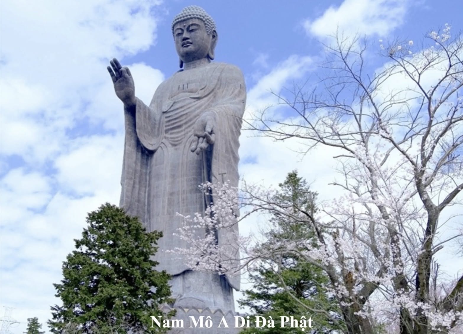 Quy Mạng Lễ (version 2)