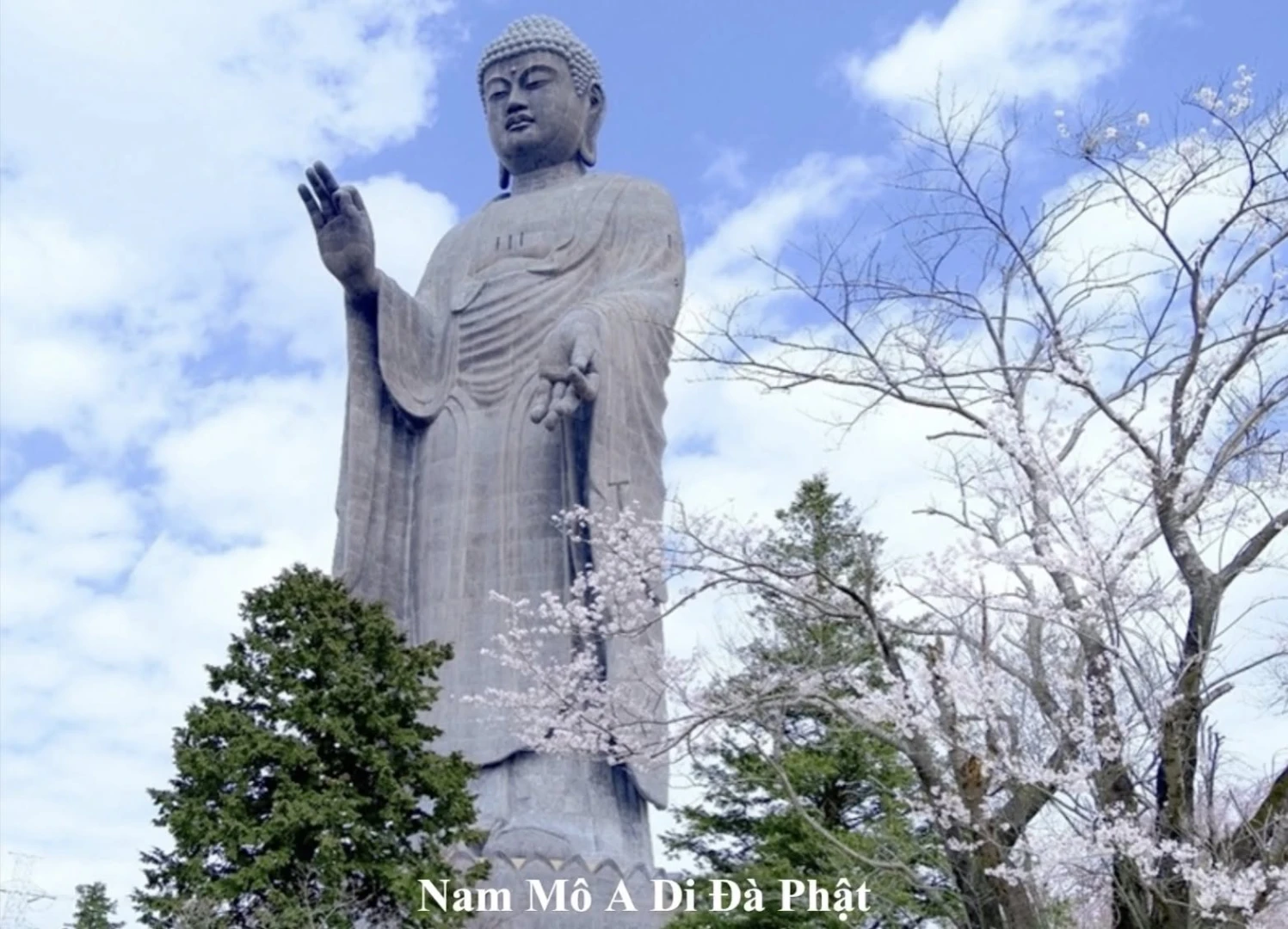 Quy Mạng Lễ (version 2)