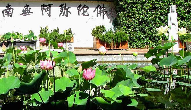 Pháp môn niệm Phật: Từ triết lý đến tín ngưỡng