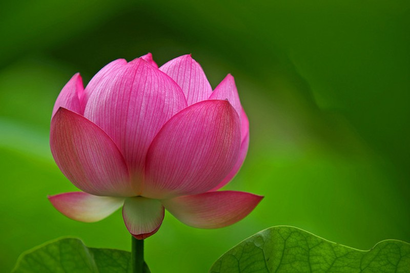 GIÂY PHÚT ĐỊNH MỆNH 