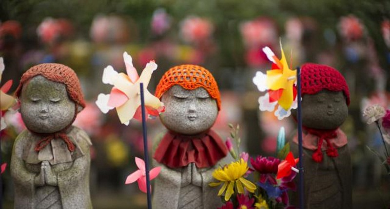 Bảo hộ sự sống con người