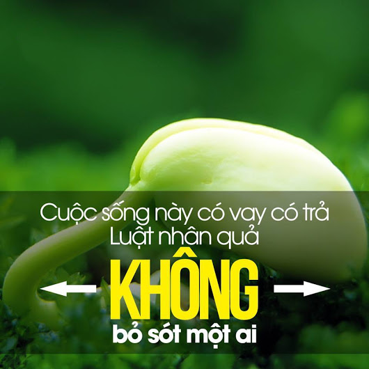 Bình đẳng và nhân quả theo giáo lý nhà Phật