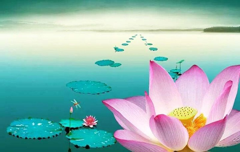 Chân Không Diệu Hữu Tự Tại Thong Dong