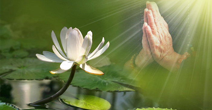 ĐẠO CHỈ CÓ MỘT CỘI, NHƯNG PHÁP CÓ NHIỀU CÀNH