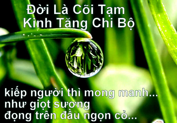 Đời người như giọt sương mai