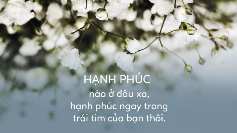 Hạnh phúc tuyệt vời chỉ là sự bình thường