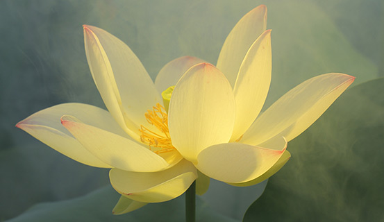 Học 8 chữ `vàng` này để làm chủ được tâm mình