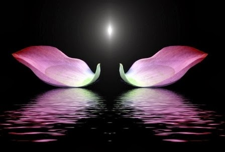 Khai mở tâm thức