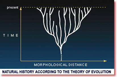 Khoa học hiện đại hướng tới Phật giáo