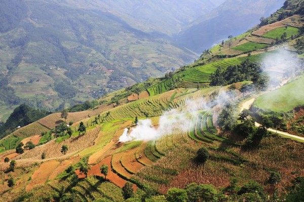 Ký sự Nở hoa vùng Tây Bắc (Kỳ 4)