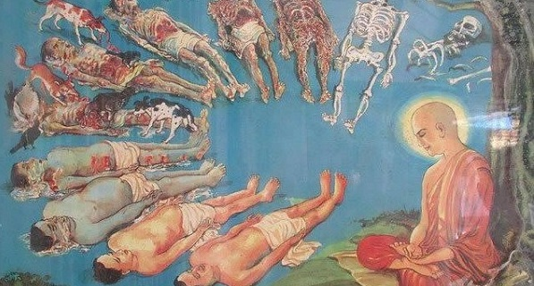 Lợi ích thực hành quán vô thường