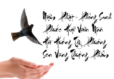 Muốn tạo phúc đức hãy phóng sinh để được an lành