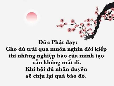 Nghiệp Báo Của Ai?
