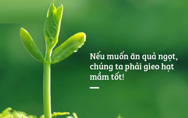 Nhân Quả Phát Sinh Tức Thời
