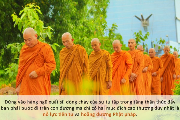 Những tiếng chuông phản tỉnh