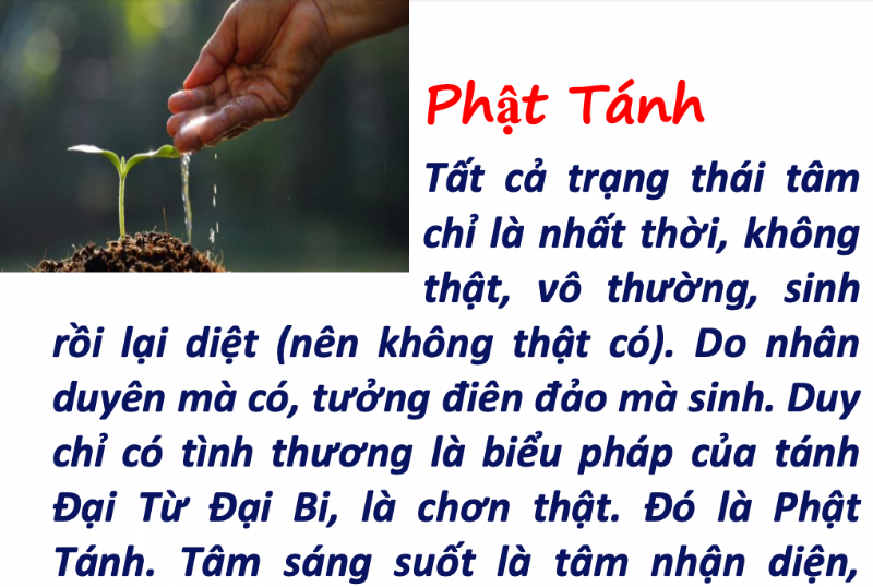 Phật Tánh