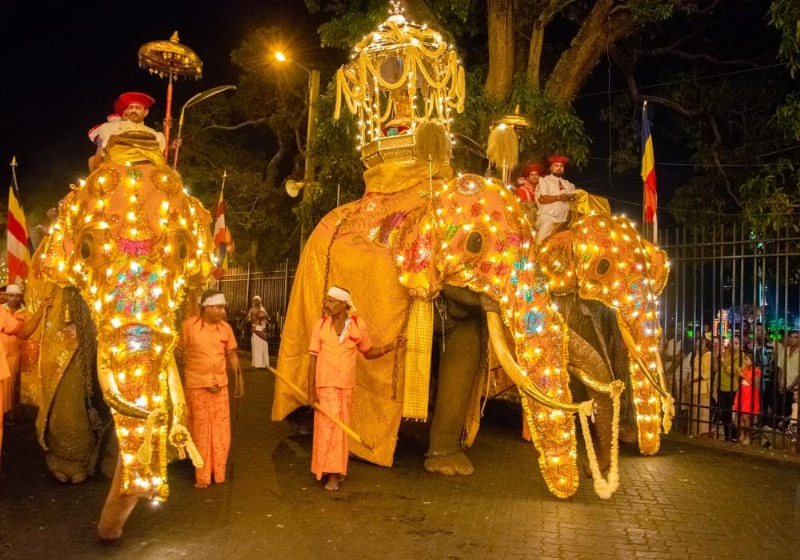 Sri Lanka: Hòa mình vào lễ rước răng Phật lớn nhất trên đường phố
