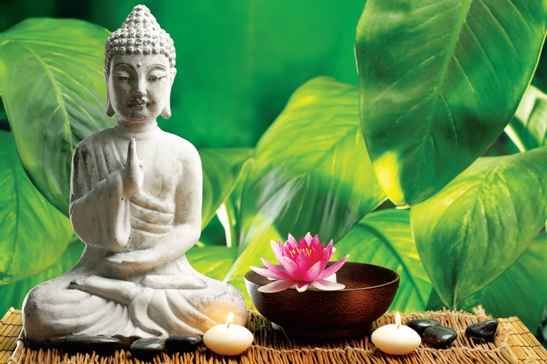 Suy nghiệm lời Phật: Nhìn trái mà thấy người