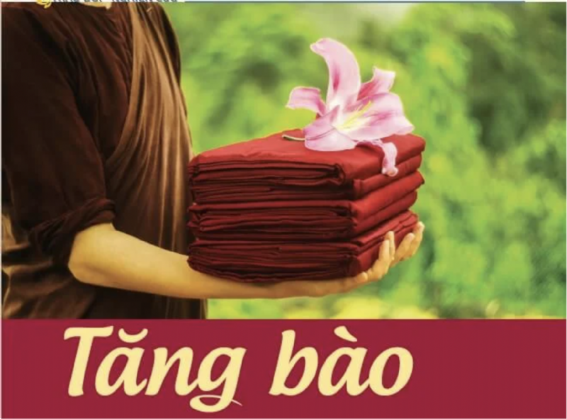 Tăng bào