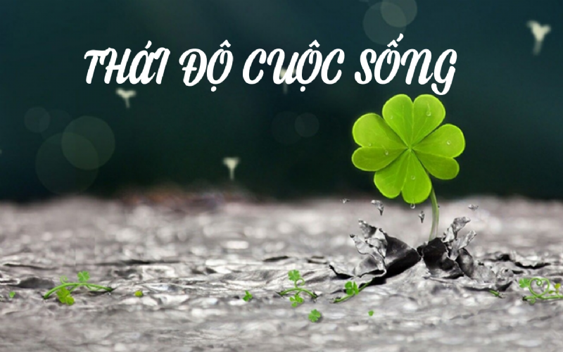 THÁI ĐỘ TRONG CUỘC SỐNG