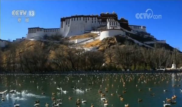 Trung Hoa: Công Bố Bản Thiết Kế Cung Điện Potala