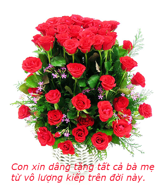 Từ Khổ Đau Tới Giải Thoát
