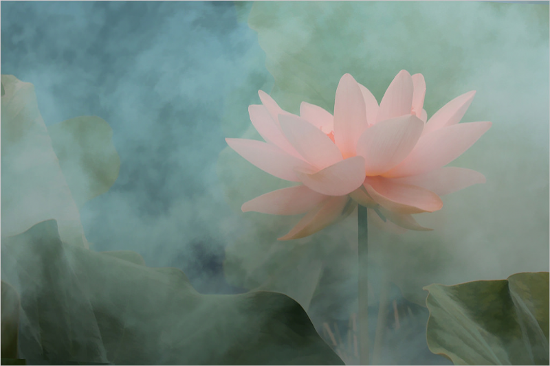 Vô tri ( tiếp theo)