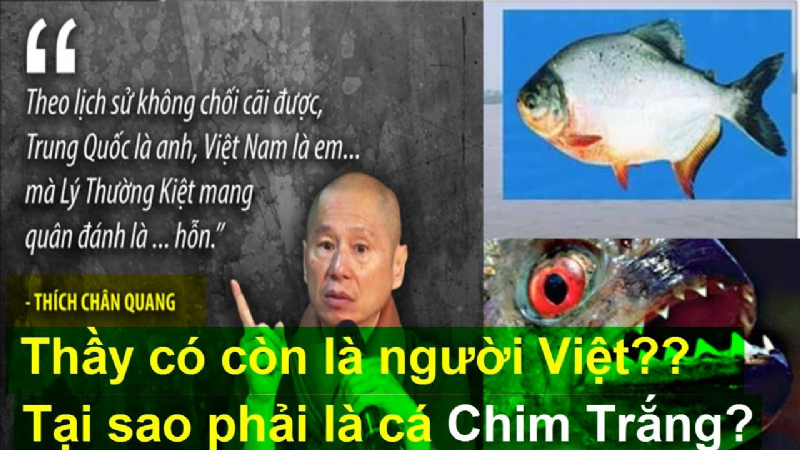 ẢO GIÁC - HOANG TƯỞNG - NGÁO ĐÁ (4)