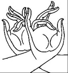Thủ Ấn Tránh Ác