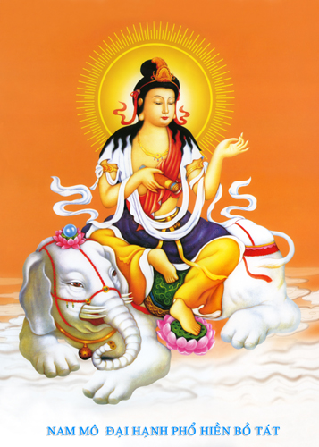 Phổ Hiền chính là hành động, là vào đời, là từ bờ bên kia nhảy lại bờ bên này, để độ chúng sanh.  