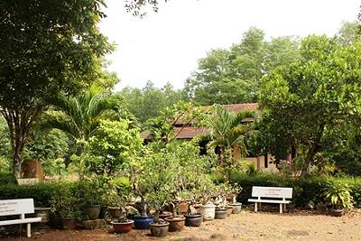 Chùa Tường Quang