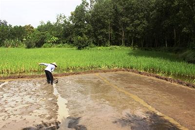 chùa Tường quang - Đồng Nai