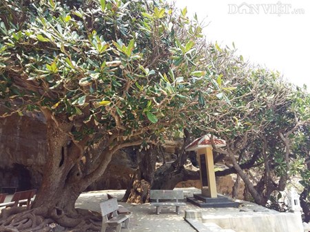 Thiên Khổng Thạch Tự