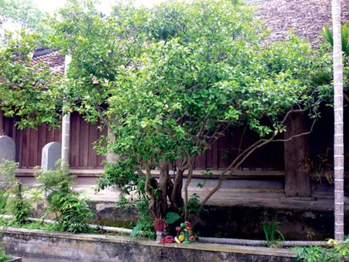 Chuyện 