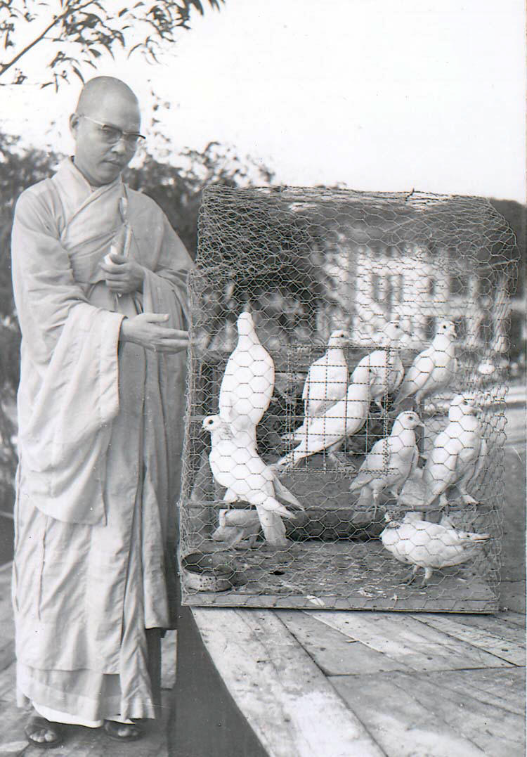 Hòa Thượng Thích Thiện Minh