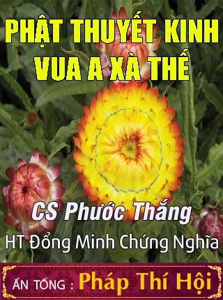 Kinh Vua A Xà Thế - Quyển Thượng